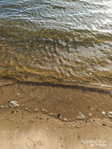 fd_292485.jpg@596w_1l