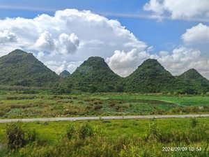 sq_443439.jpg@596w_1l