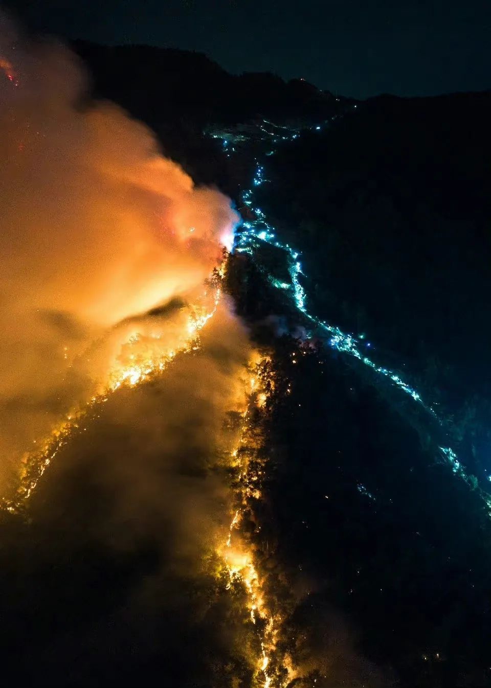 不一样的川渝山火