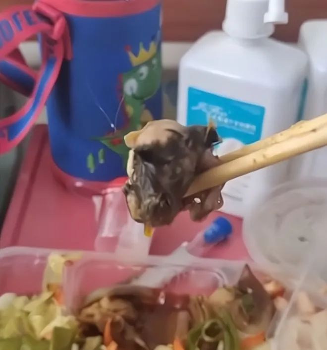 重庆又来了个鼠头鸭 重庆又来了个鼠头鸭