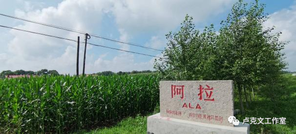 黑龙江：青龙的狂舞（上）