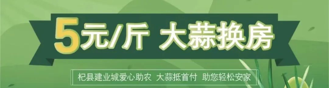 小麦大葱皆可首付